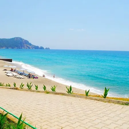 호텔 Palmera Kleopatra 2*